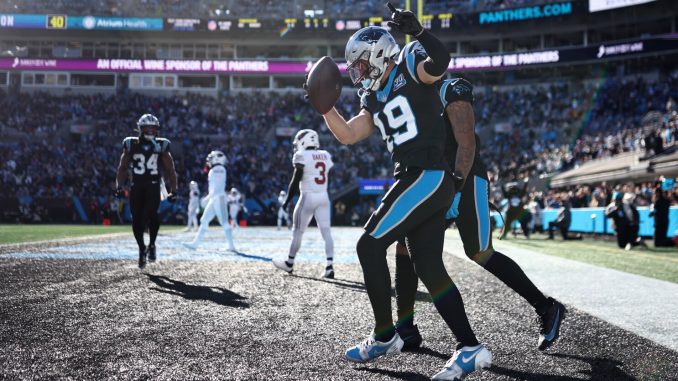 Arizona Cardinals v Carolina Panthers