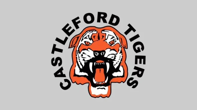 NI.-CASTLEFORD-TIGERS-BADGE-768x512