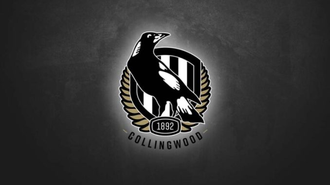 CW-Team-Logo-Headers-768x461